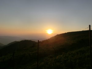 伊吹山日の出2
