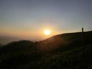 伊吹山日の出4