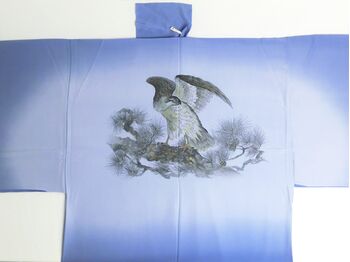 Silk underwear of Men's kimono "Tenryu"bland hawk ⑨ blue